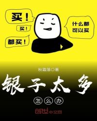 银子太多怎么办章节列表