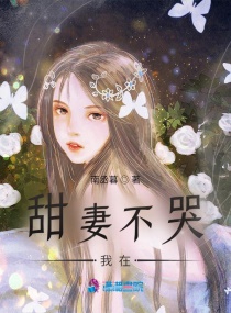 甜妻不哭我在章节列表