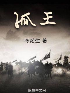 孤王章节列表