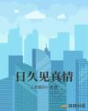 日久见真情章节列表