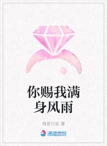 你赐我满身风雨章节列表