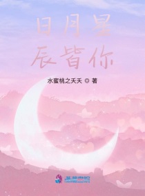 日月星辰皆你章节列表