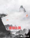 黑鹳之舞章节列表