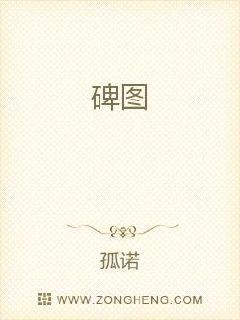 碑图章节列表