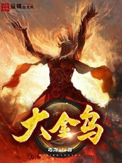 大金乌章节列表