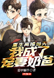 重生离婚当天，我成了宠妻奶爸章节列表