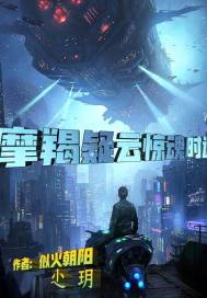 摩羯疑云惊魂时速章节列表