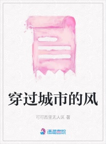 穿过城市的风章节列表