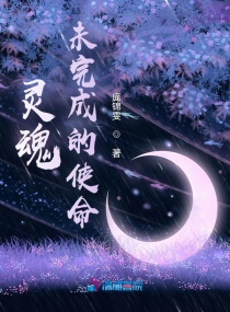 灵魂未完成的使命章节列表