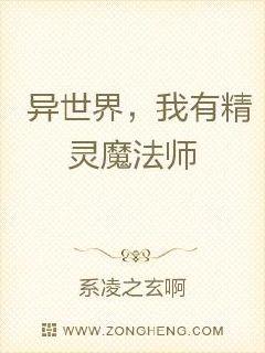 异世界，我有精灵魔法师章节列表
