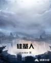 硅基人章节列表