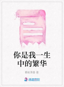 你是我一生中的繁华章节列表