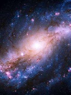 屹立于群星之间章节列表