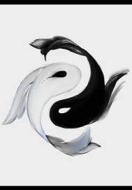 无尽装载章节列表