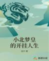 小北梦皇的开挂人生章节列表