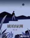琥珀绿洲章节列表