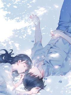 红颜依旧那么美章节列表