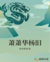 萧萧华杨章节列表