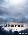 这条路不好走章节列表