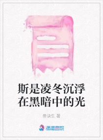斯是凌冬沉浮在黑暗中的光章节列表