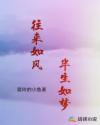 往来如风,半生如梦章节列表
