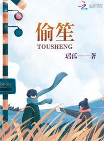 偷笙章节列表