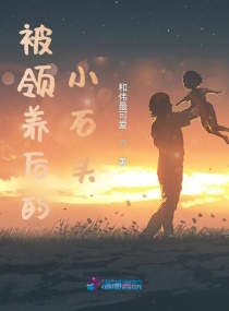 被领养后的小石头章节列表