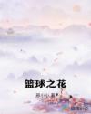 篮球之花章节列表