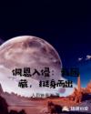 佩恩入侵：我团藏，挺身而出章节列表