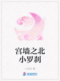 宫墙之北小罗刹章节列表