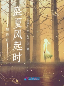 想你在盛夏风起时章节列表