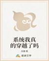 系统我真的穿越了吗章节列表
