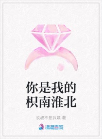 你是我的枳南淮北章节列表
