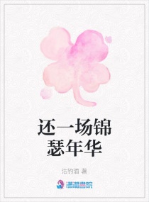 还一场锦瑟年华章节列表