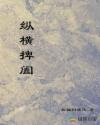 纵横捭阖章节列表