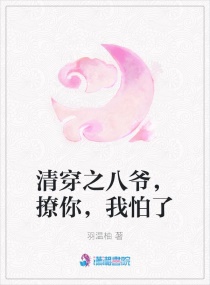 清穿之八爷，撩你，我怕了章节列表