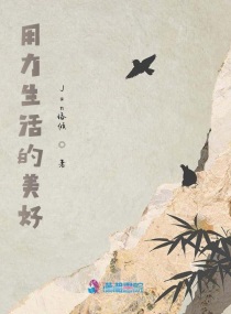 五色记忆章节列表