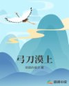 弓刀漠上章节列表