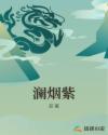 澜烟紫章节列表
