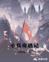 小兵奇遇记章节列表