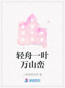 轻舟一叶万山重章节列表