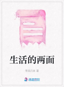 生活的两面章节列表