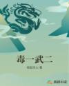 毒一武二章节列表