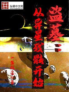 盗墓：从异星残骸开始章节列表