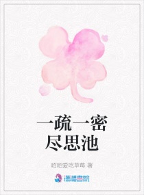 一疏一密尽思池章节列表