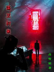 谍王归来章节列表