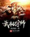 武极宗师章节列表