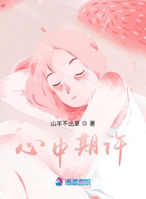 心中期许章节列表
