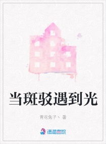 当斑驳遇到光章节列表