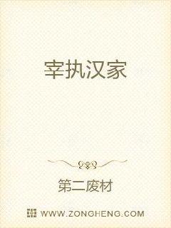 宰执汉家章节列表